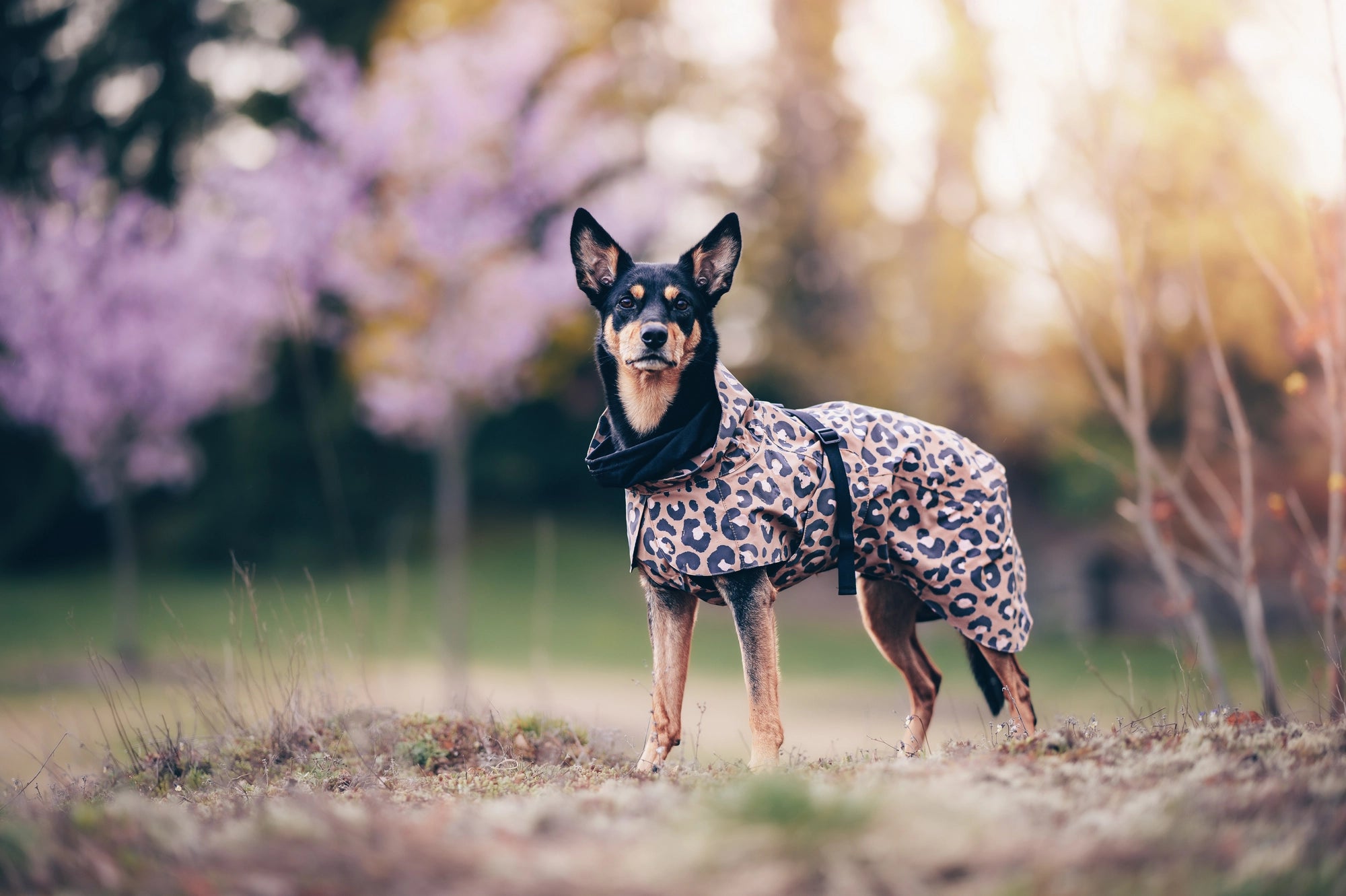 Paikka Visibility Raincoat Regntäcke