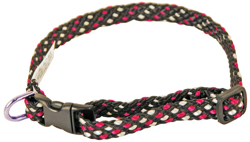 Valphalsband Ställbart Svart