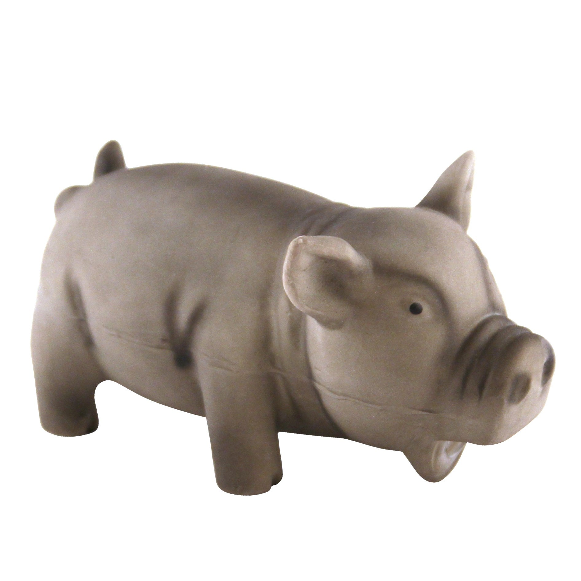 Latexgris Hundleksak