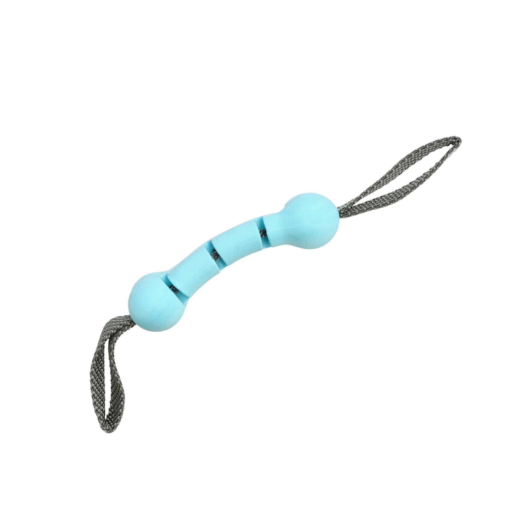 Leksak Fetchbone Blå