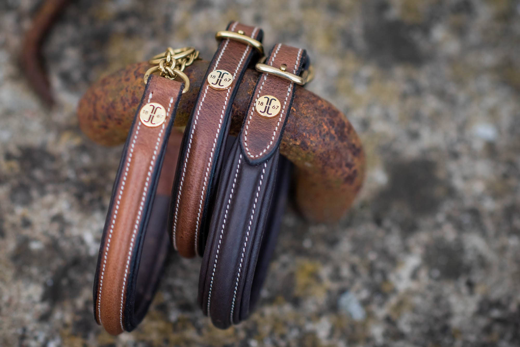 Jacson London Hundhalsband