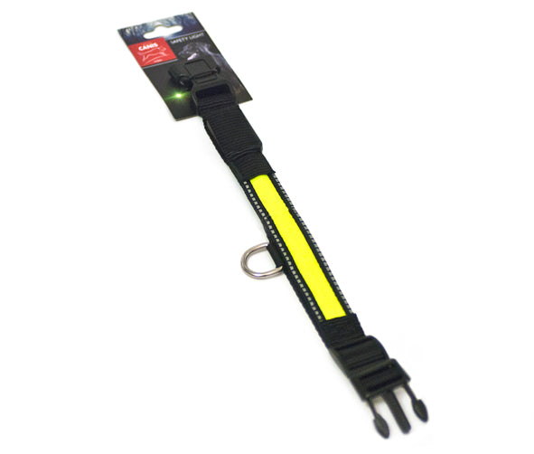 Active Canis LED collar 51×2,5 cm