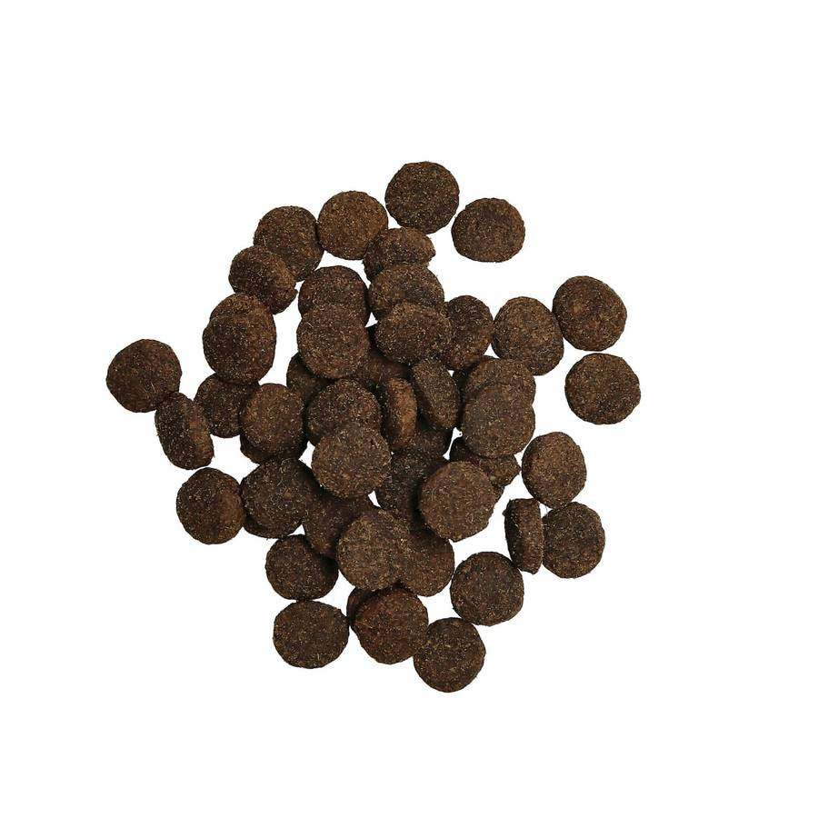 Harmony Adult Lamb 10kg