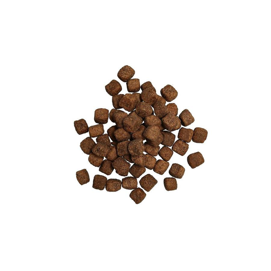 Harmony Senior Torrfoder 10kg