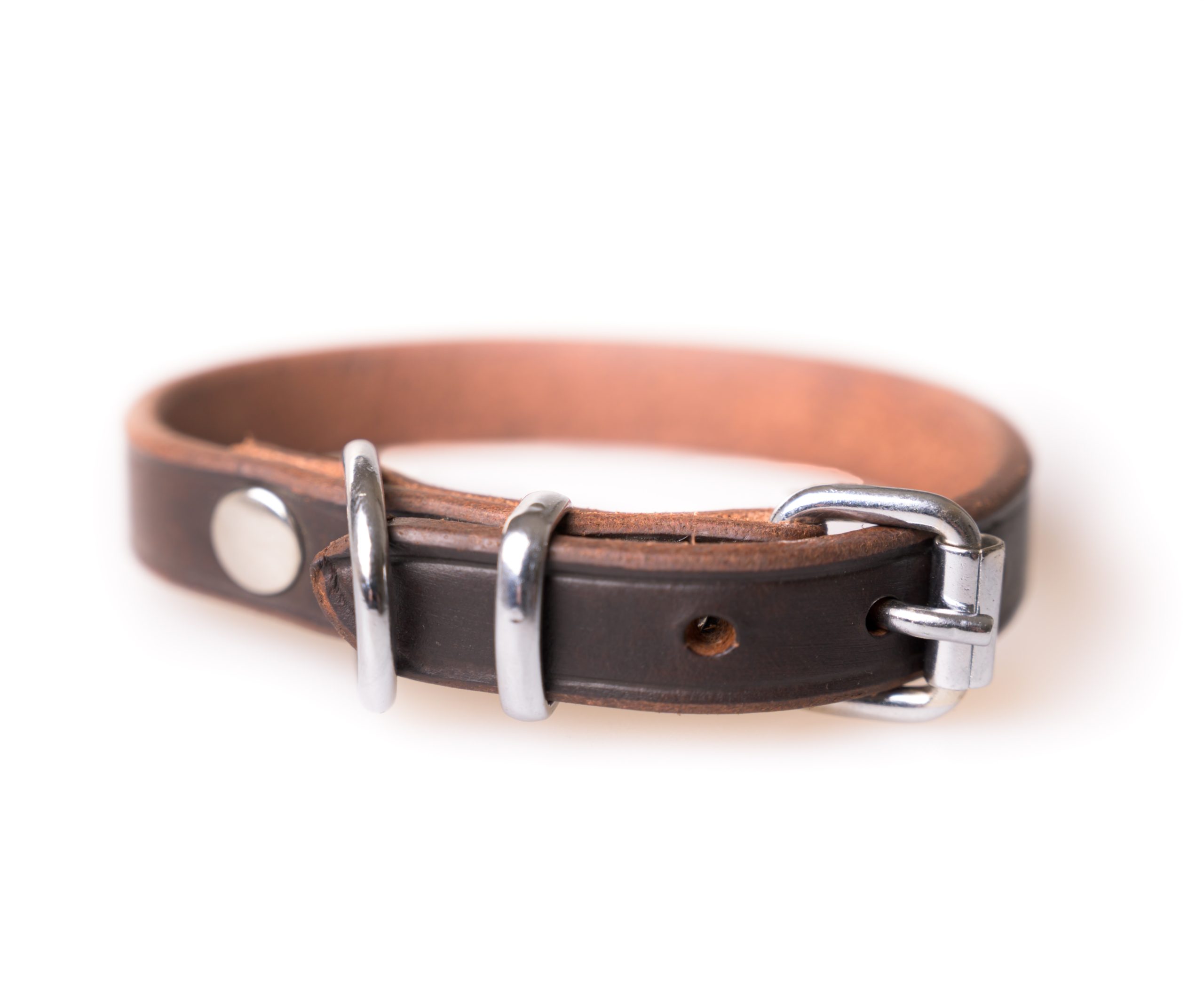 Active Canis Leather Collar, 1,5×45 cm Brown
