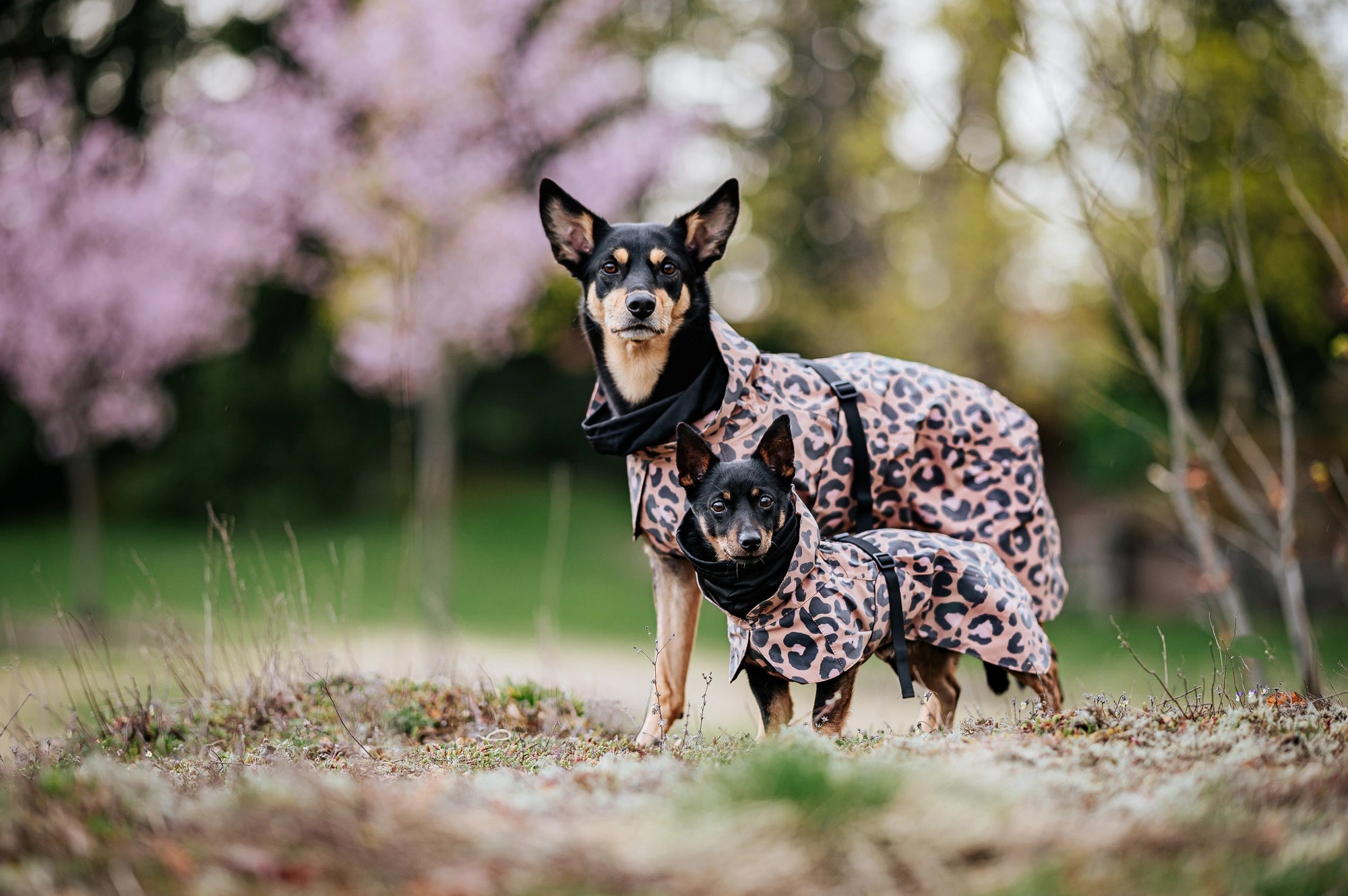 Paikka Visibility Raincoat Regntäcke