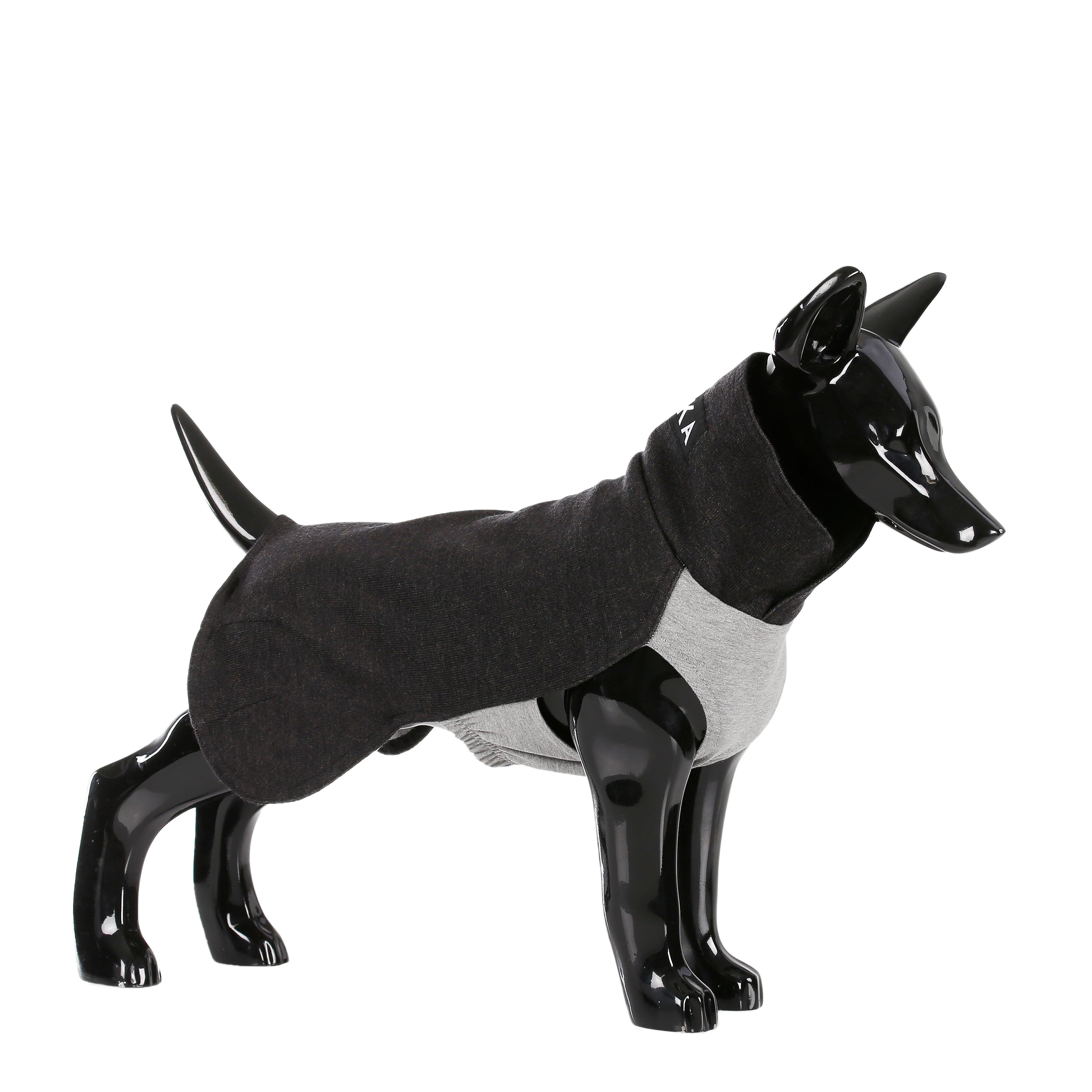 Recovery Winter Dog Shirt