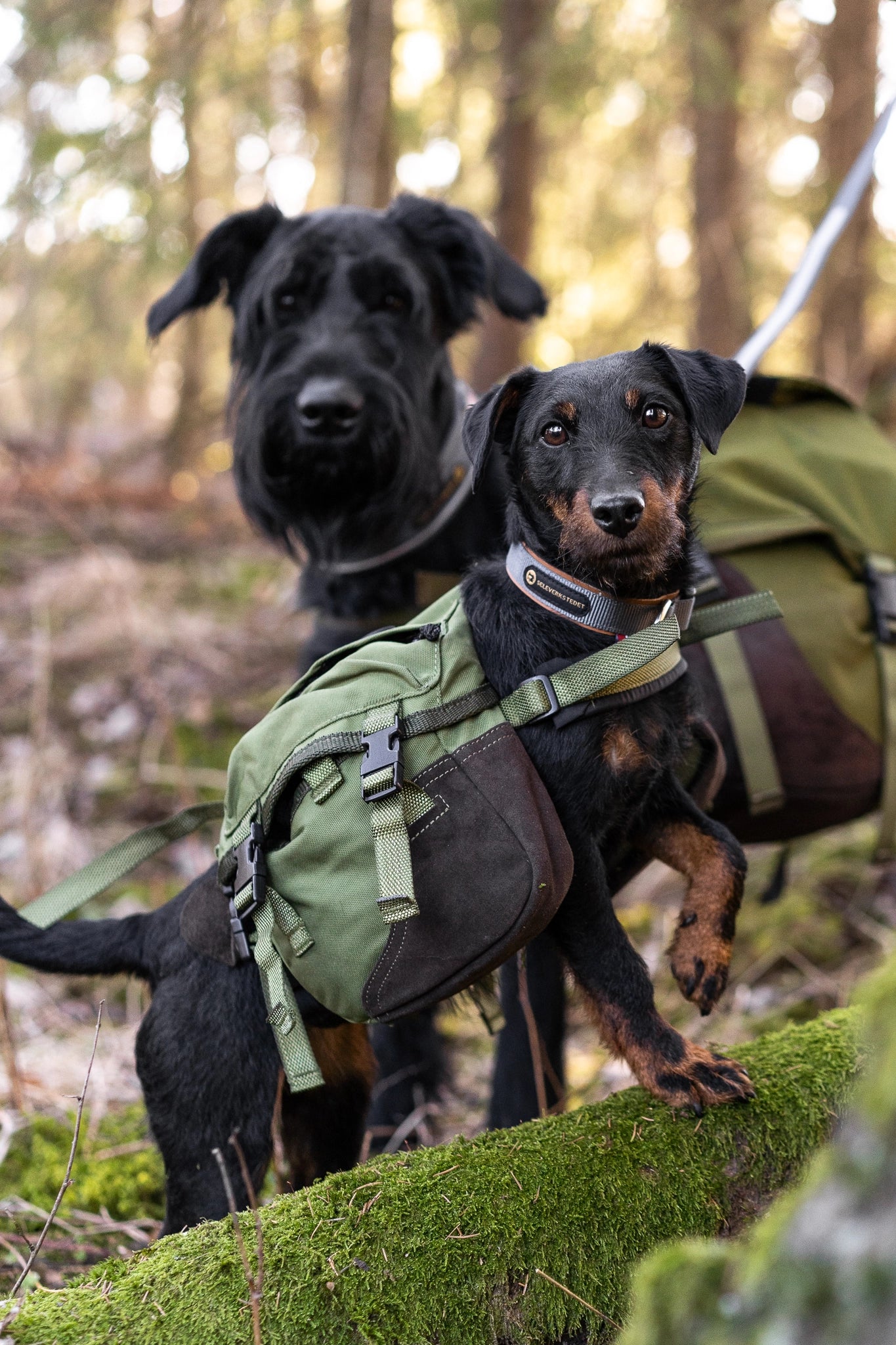 Seleverkstedet Klövjeväska Togo