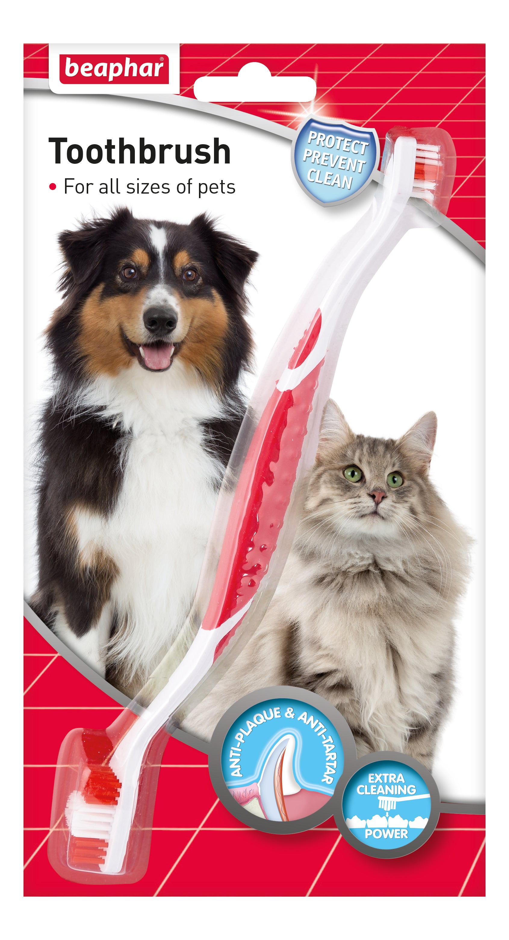 Tandborste Dubbelsidig