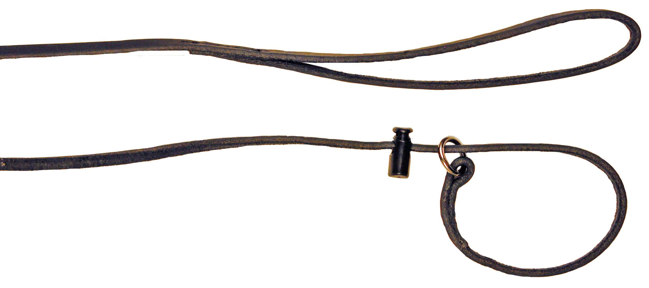 Utställningskoppel Läder Svart 160cm