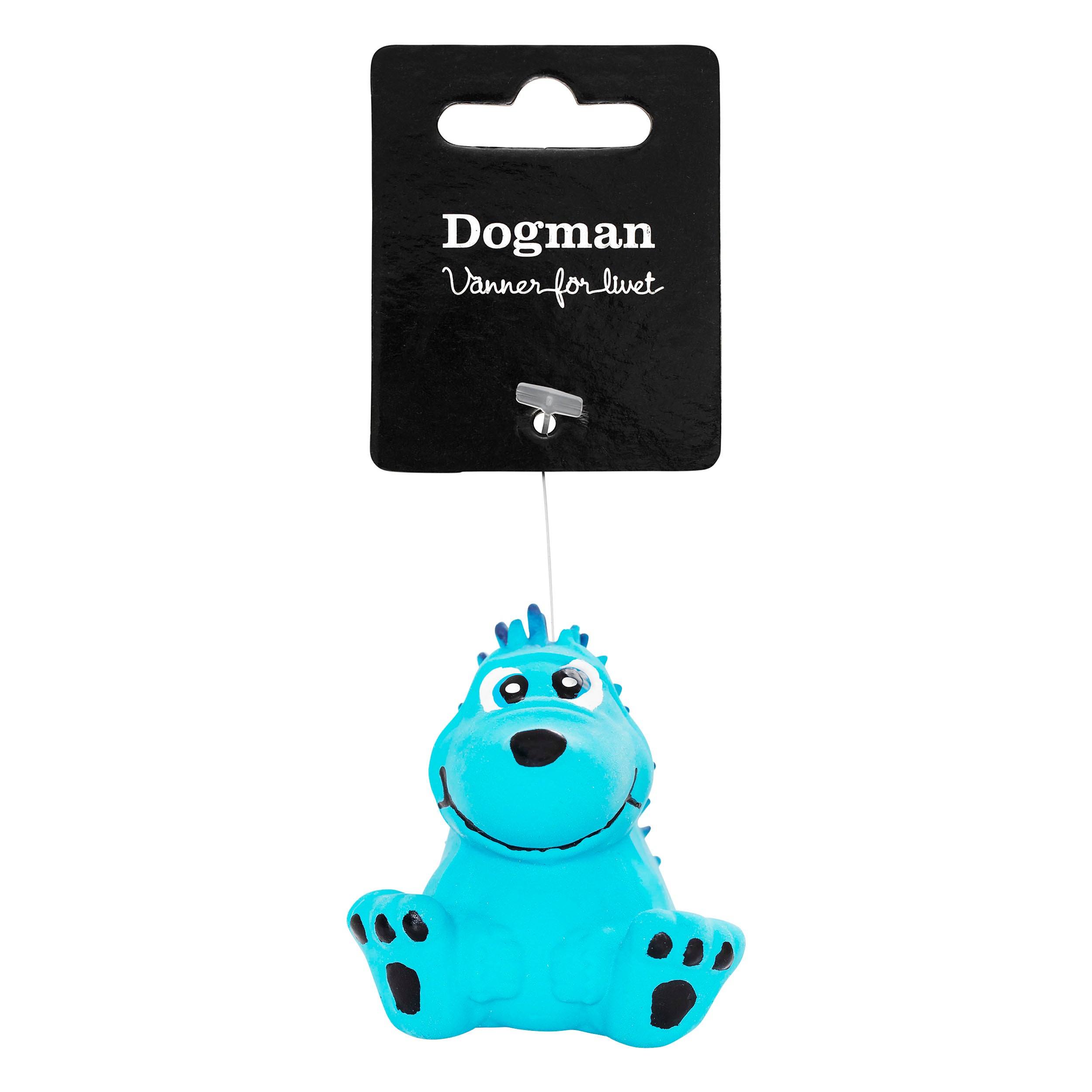 Leksak Igelkott Turkos