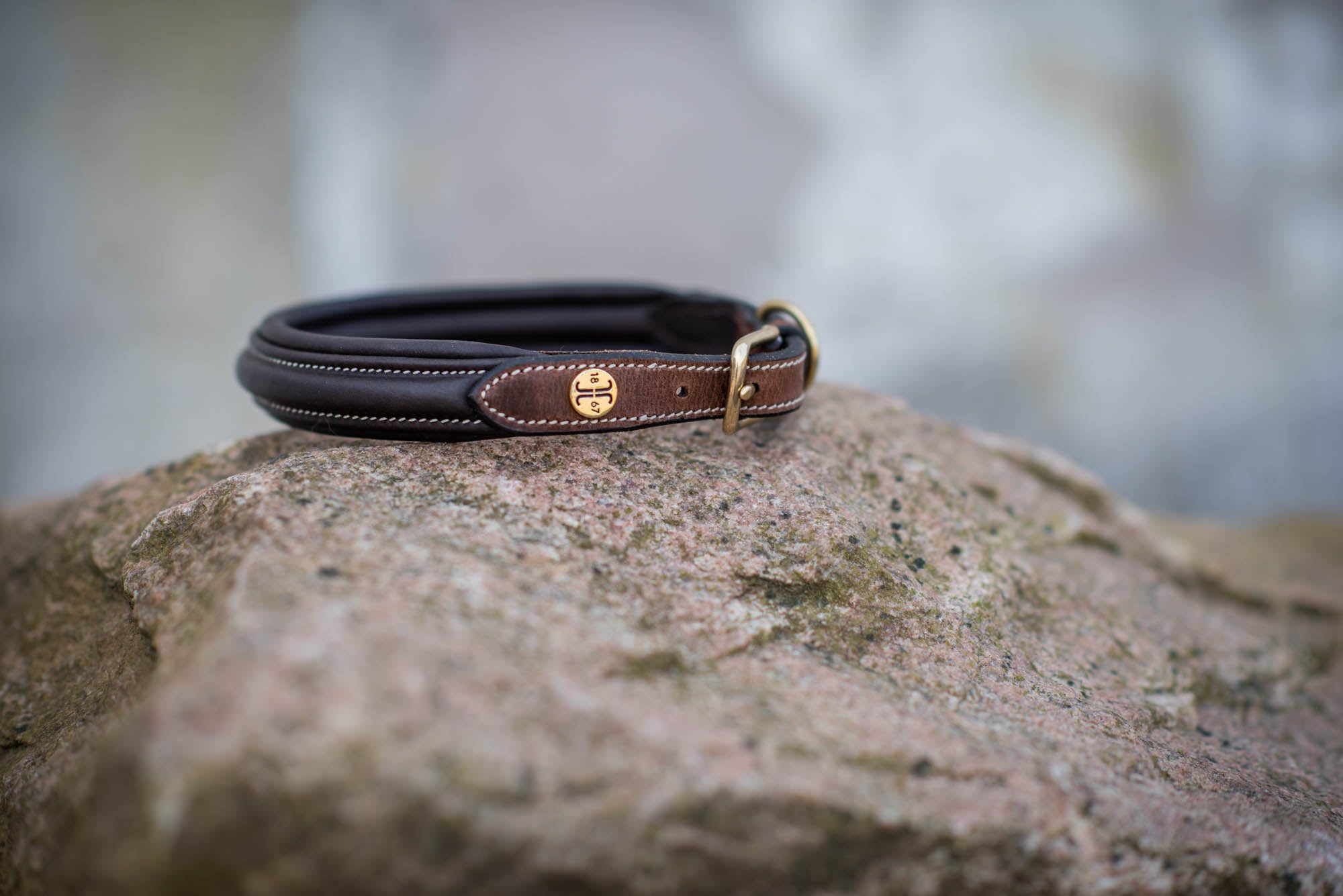 Jacson London Hundhalsband