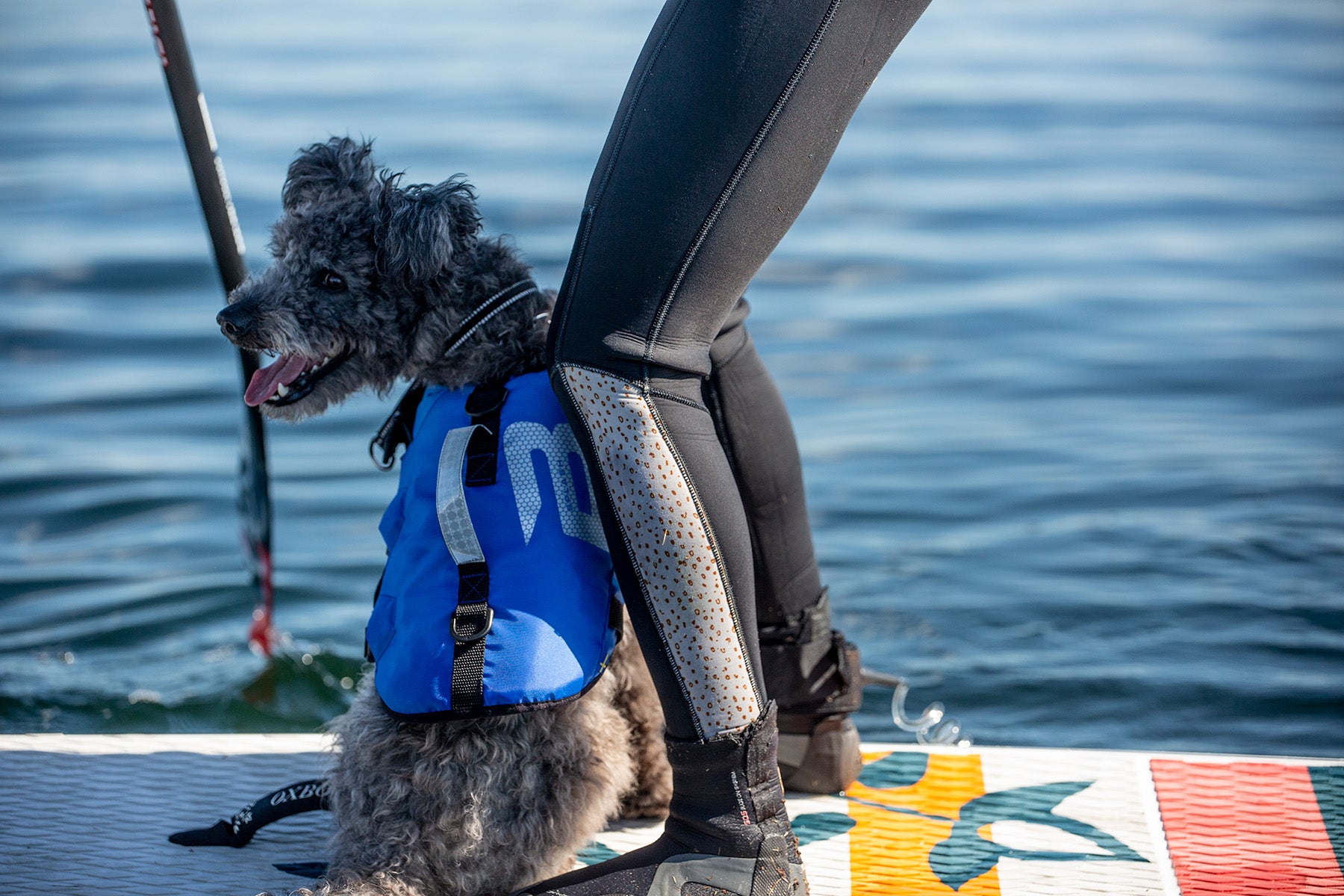 Hundflytväst Splash XXL